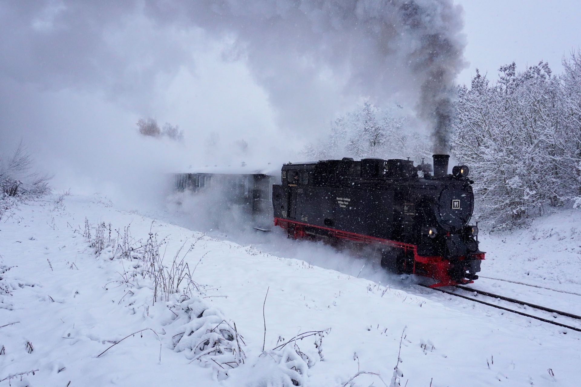 Black steam locomotive chugs through snowy landscape, trailing smoke beside snow-covered trees