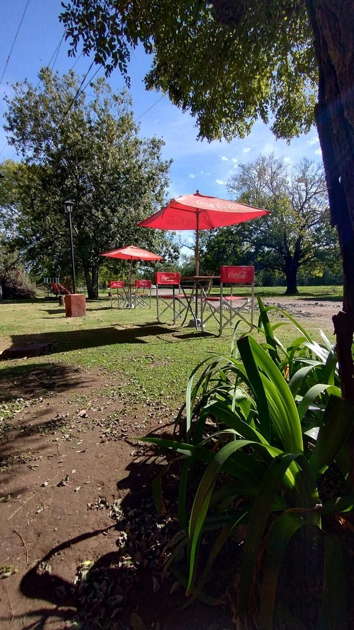 Sombrillas rojas dan sombra a las mesas de exterior en un césped soleado rodeado de árboles y plantas verdes.