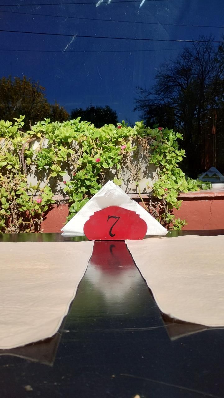 cielo azul oscuro y arboles al fondo