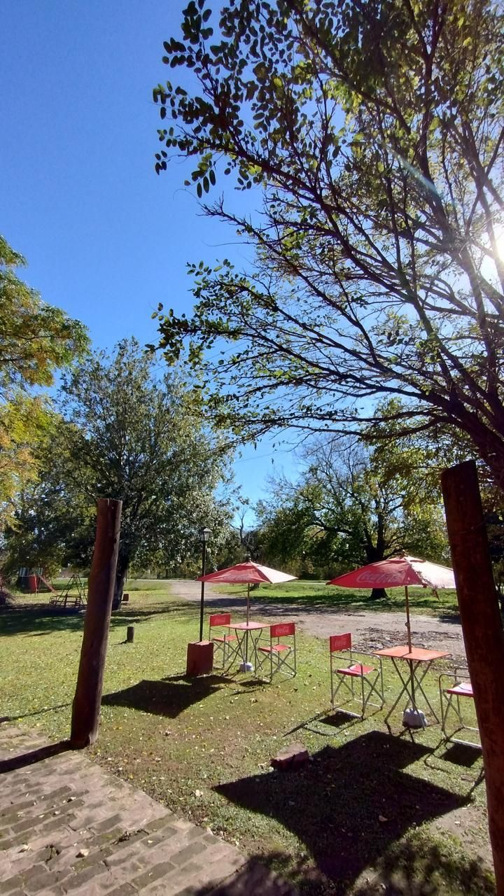 Sombrillas rojas de patio y mesas con sillas se encuentran sobre un césped soleado bajo los árboles en un día radiante.