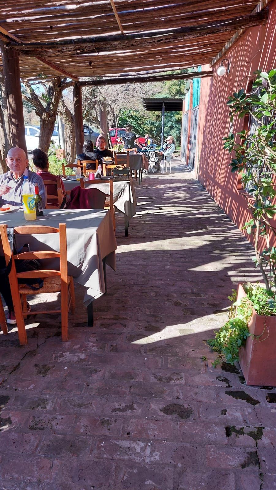 Zona de comedor en el patio con mesas, sillas y un techo de pérgola junto a una pared de ladrillo rojo en un día soleado.