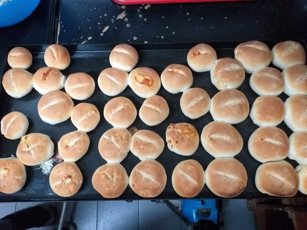 Hileras de panecillos redondos, recién horneados y dorados, con cortes en la parte superior