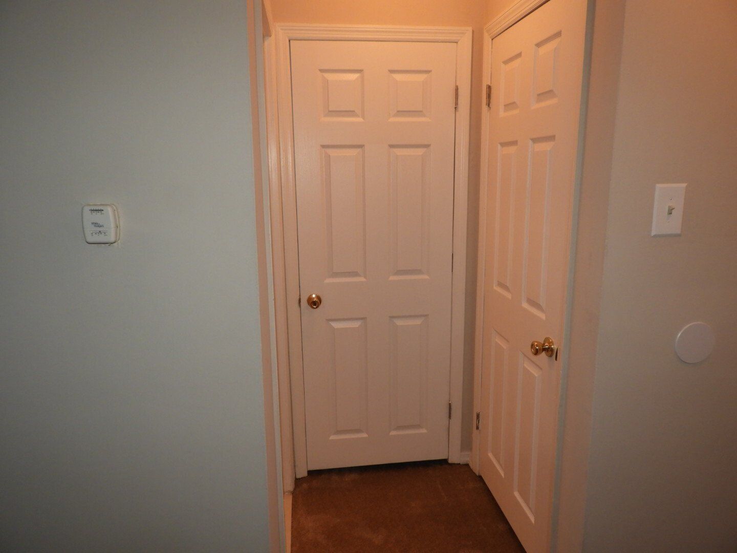 THE RESIDENCES AT WHITE HALL - studio hallway