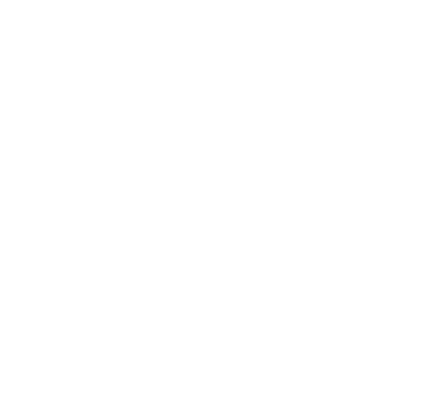 all american commercial roofing