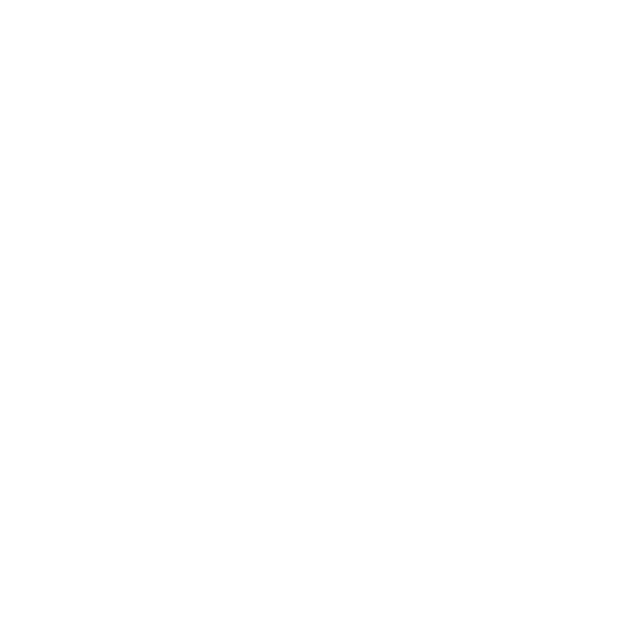 logo all american commercial roofing