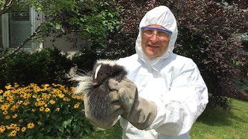 technician removes a skunk from property