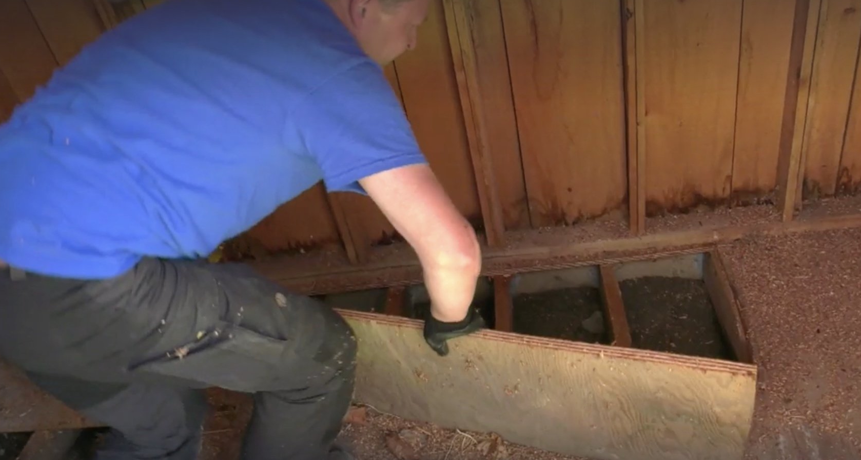 wildlife removal technicians find the entry point of unwanted wildlife into your home or property in Markham