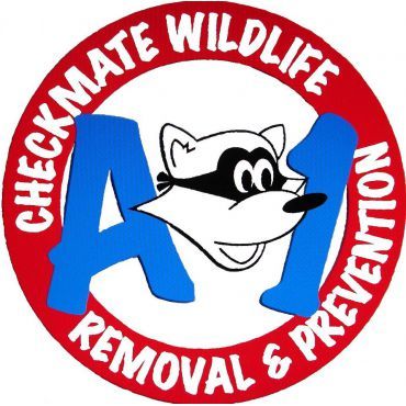 Humane Animal Control & Removal Services Richmond Hill | A-1 Checkmate