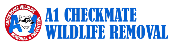 A1 Checkmate Wildlife Removal Logo