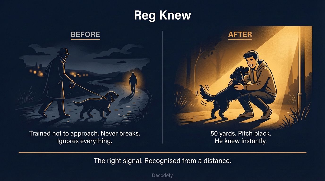 Two-panel illustration. Left panel: a man walking a black cocker spaniel. right panel: spaniel meets