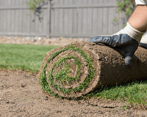 turfing experts