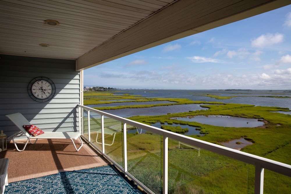 A Balcony With a View of a Swamp and a Clock on the Wall — Prime Built in Renwick, NSW
