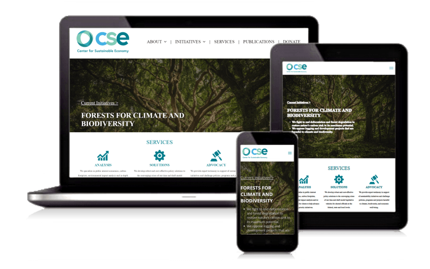 Environmental Websites Design