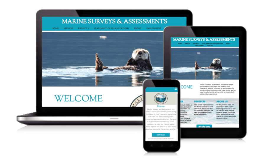 Marine Surveyors and Assessments Website Design