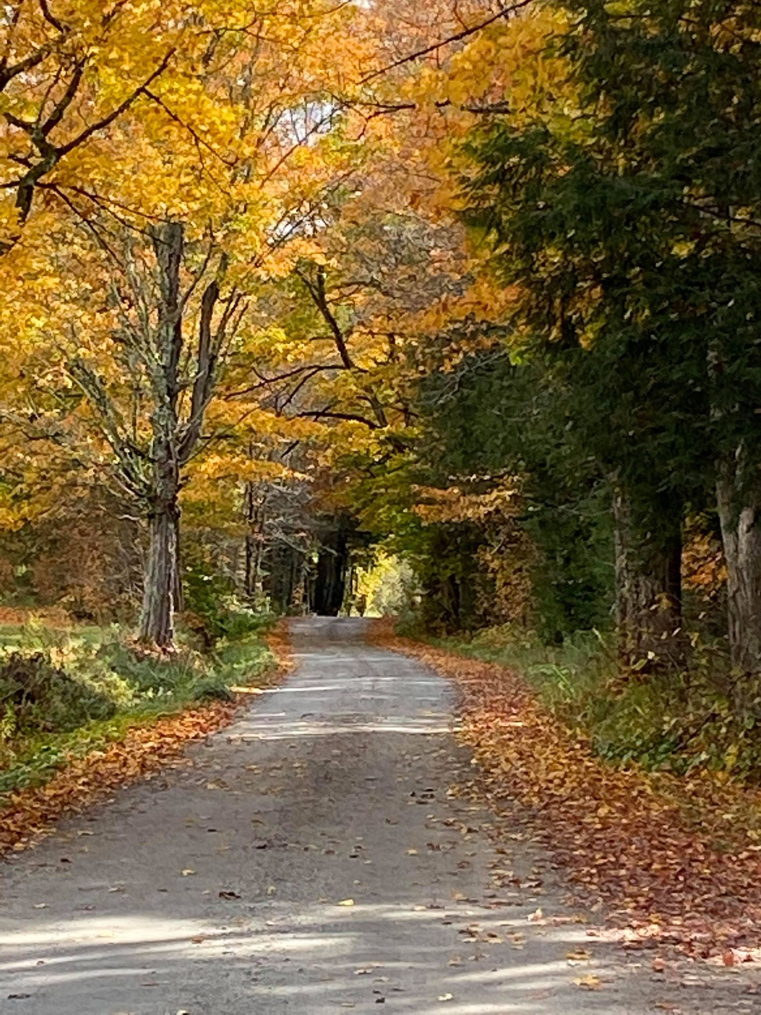 autumn dirt road in the Town of Kirby
