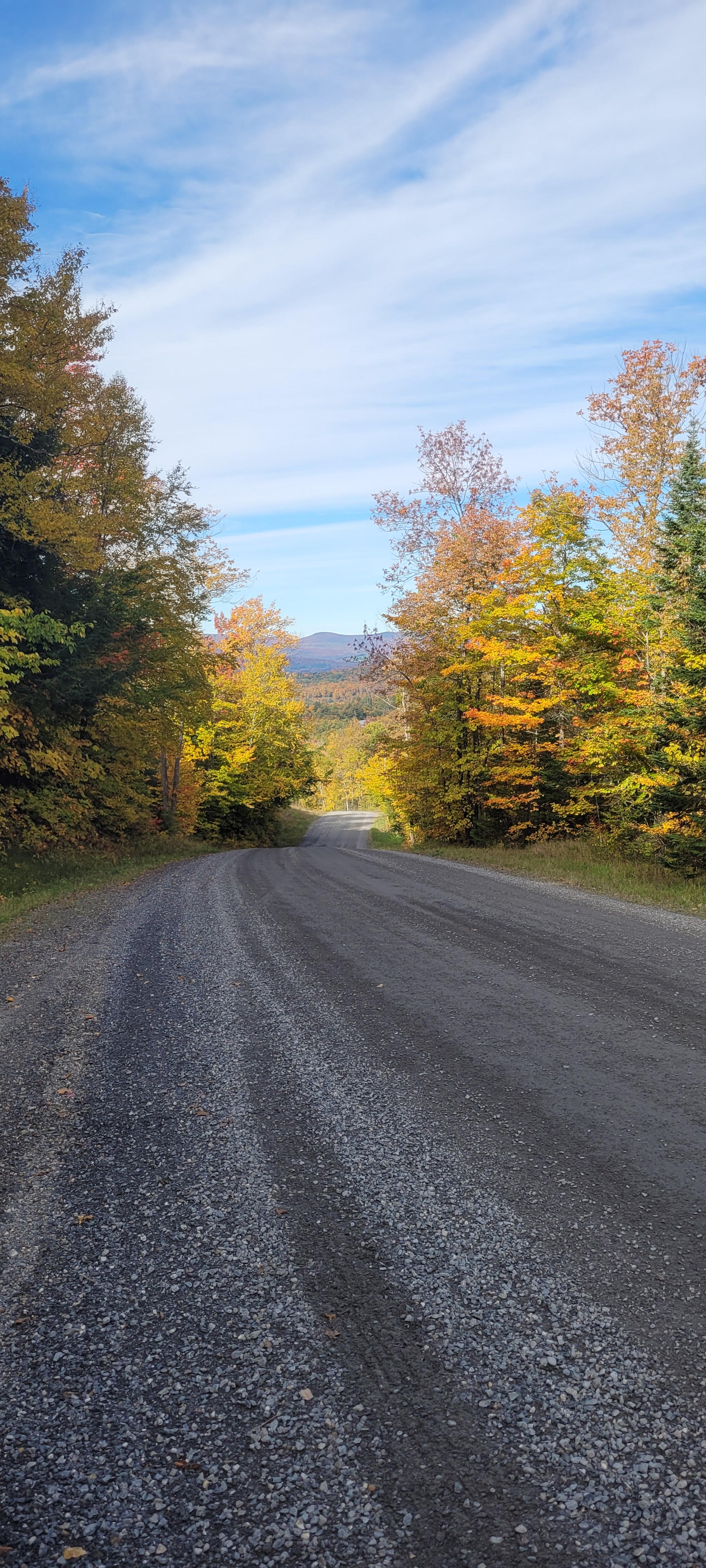 looking down a dirt road in the Town of Kirby