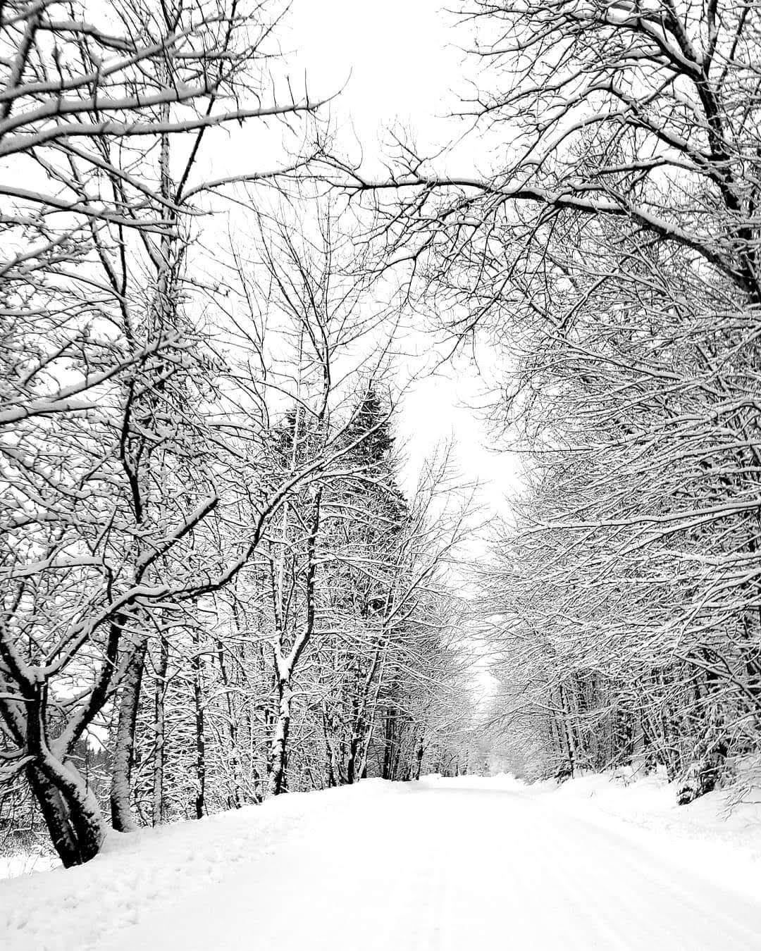 winter view of the town of Kirby