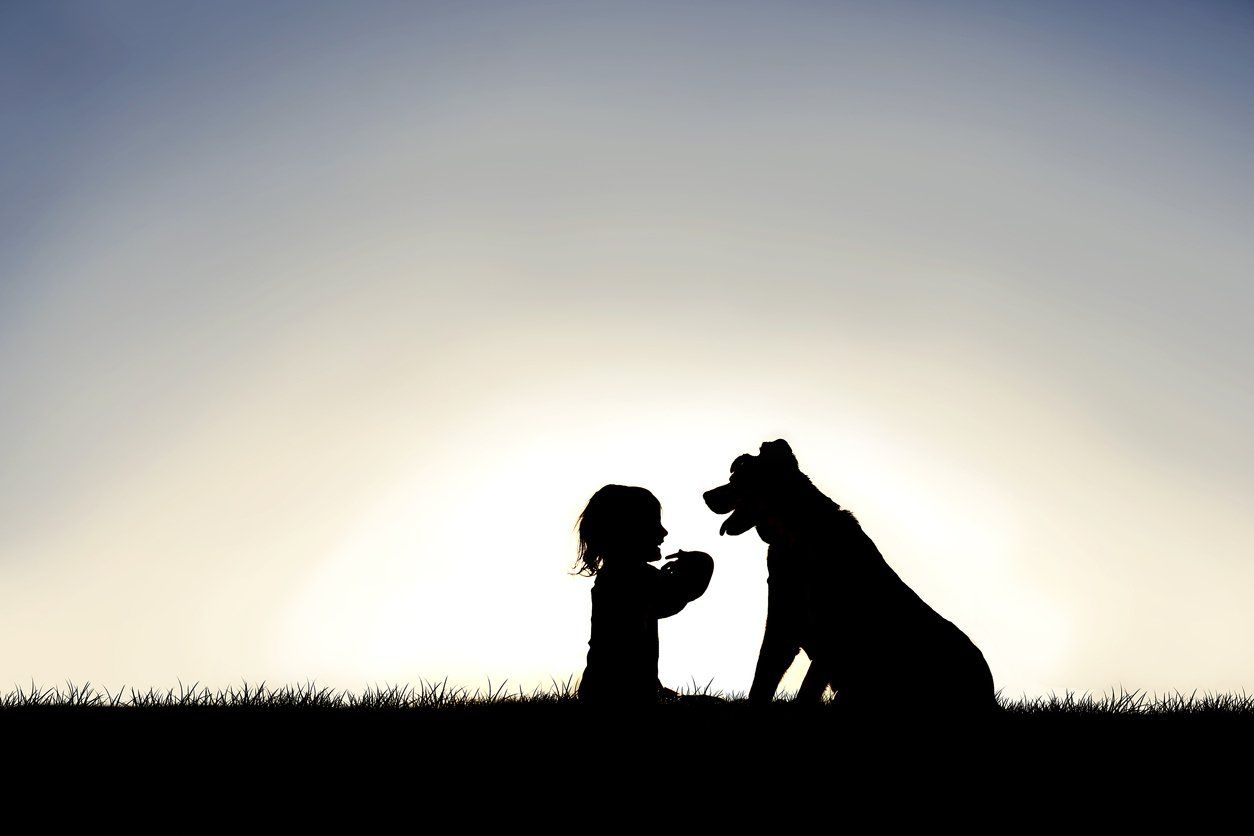 A silhouette of a little girl petting a dog