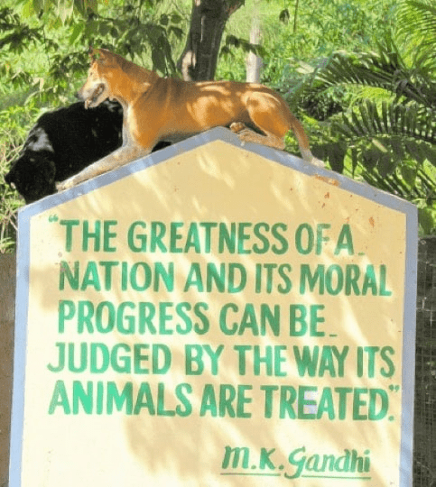 Advocacy Advocacy