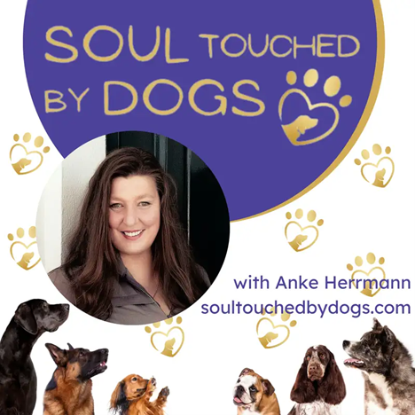 A poster for soul touched by dogs with a woman and dogs