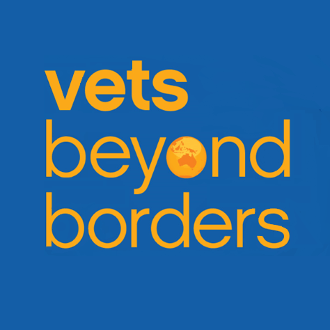 Vets Beyond Boarders