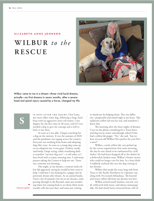 Wilbur to the Rescue