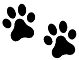 dog paw prints