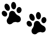 dog paw prints