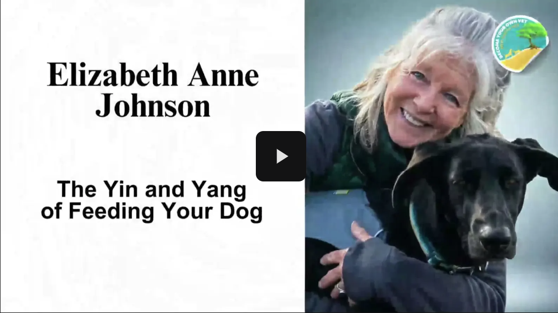 The Yin and Yang of Feeding Your Dog.