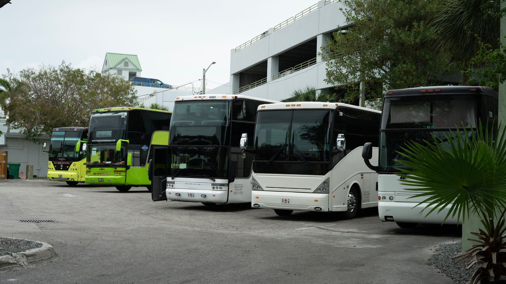 Fleet of sightseeing buses parked in Key West for Florida road tours