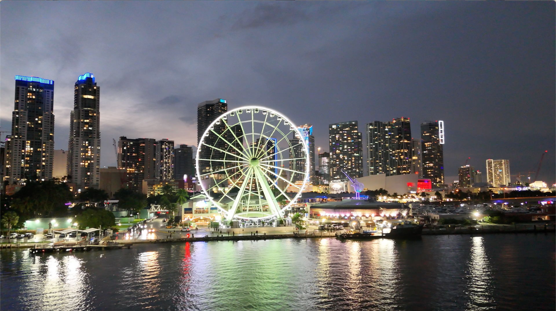 Miami Night Cruise at night

