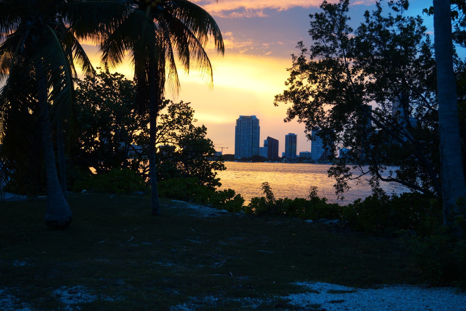 Palm trees framing a Miami waterfront sunset with skyline views