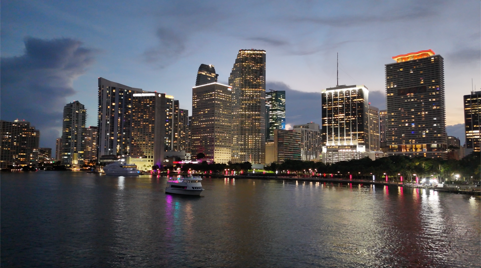 Miami Night Cruise skyline view
