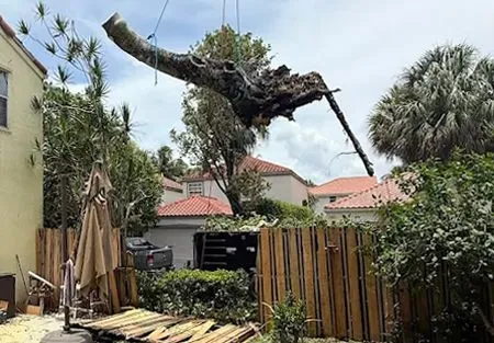A large, dark tree trunk is suspended in mid-air by cables above a backyard with a wooden fence and houses.