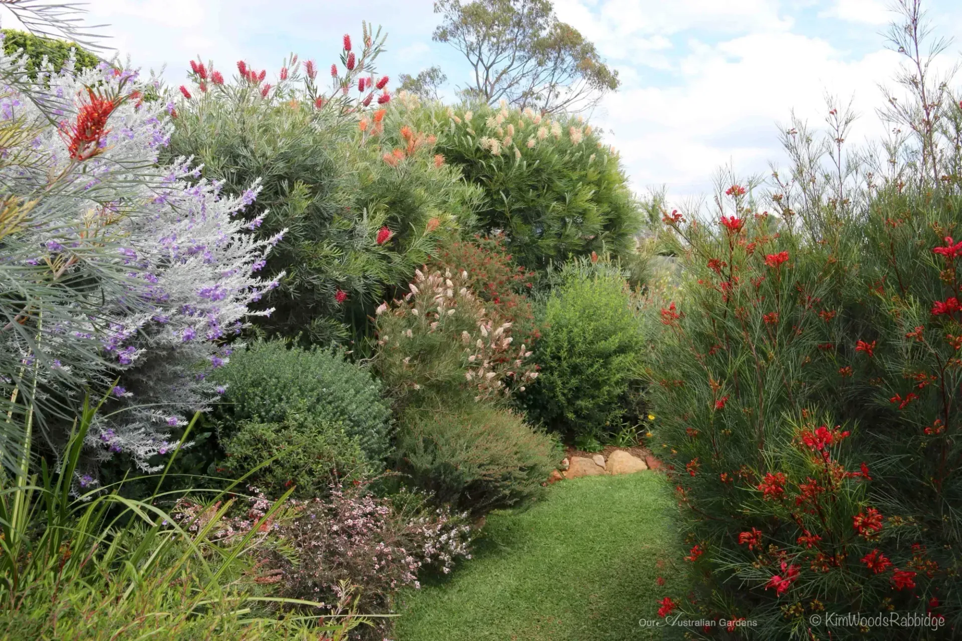 Lush Garden with Various Green and Red Flowering Bushes and A Grassy Path — Gladstone Garden & Landscaping Supplies In Burua, QLD