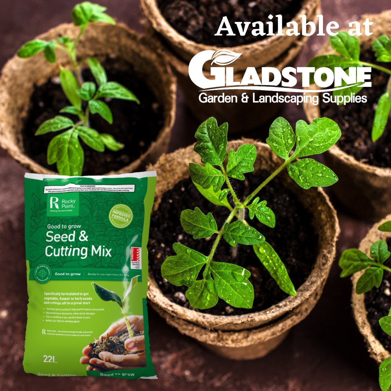 Tomato Seedlings in Pots with Seed Starting Mix Bag — Gladstone Garden & Landscaping Supplies In Burua, QLD