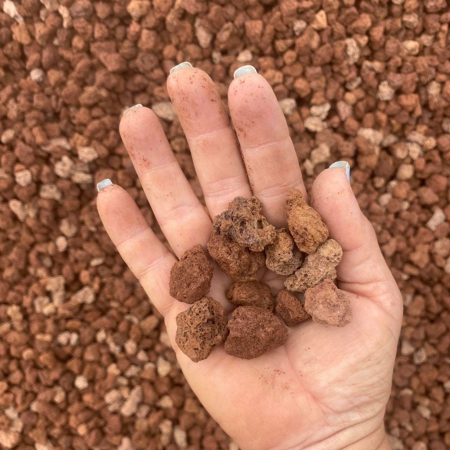 Hand Holding Reddish-Brown Lava Rocks, with More Lava Rocks in The Background — Gladstone Garden & Landscaping Supplies In Gladstone, QLD