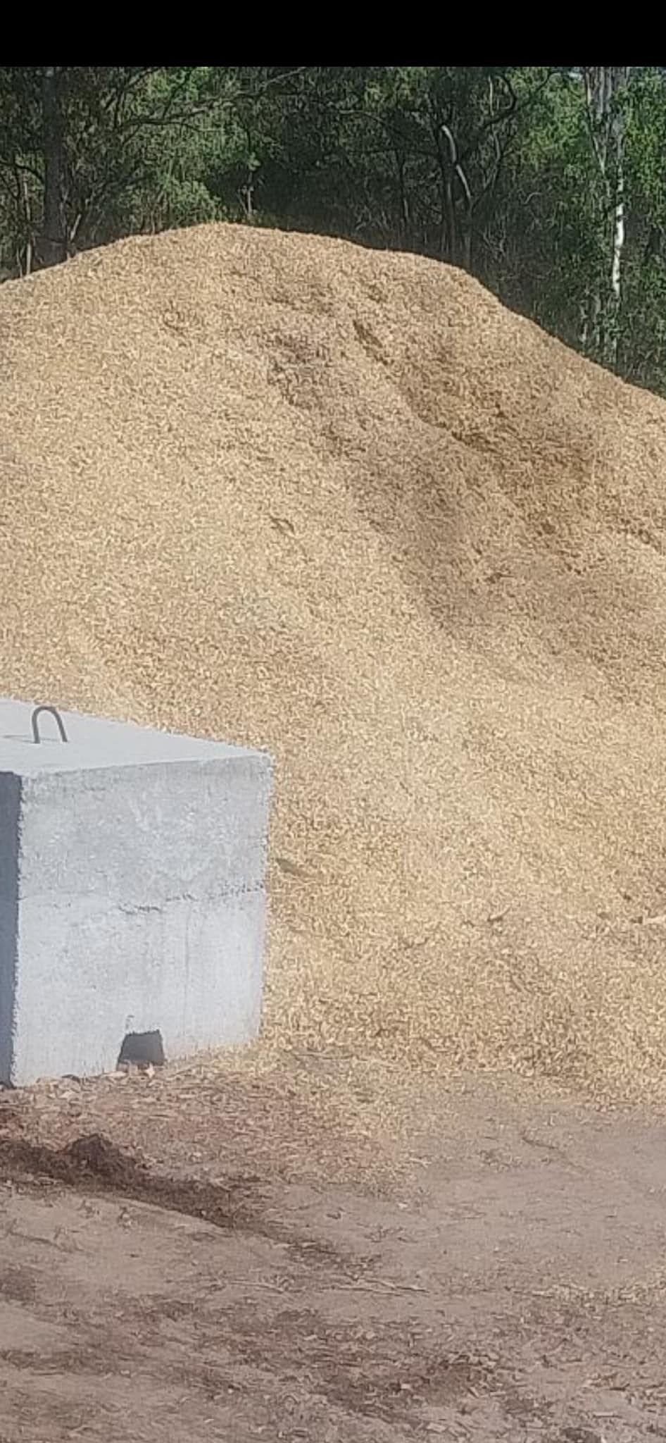 Hands Cradling a Young Seedling with Green Leaves, Ready to Be Planted in Brown Soil — Gladstone Garden & Landscaping Supplies In Burua, QLD