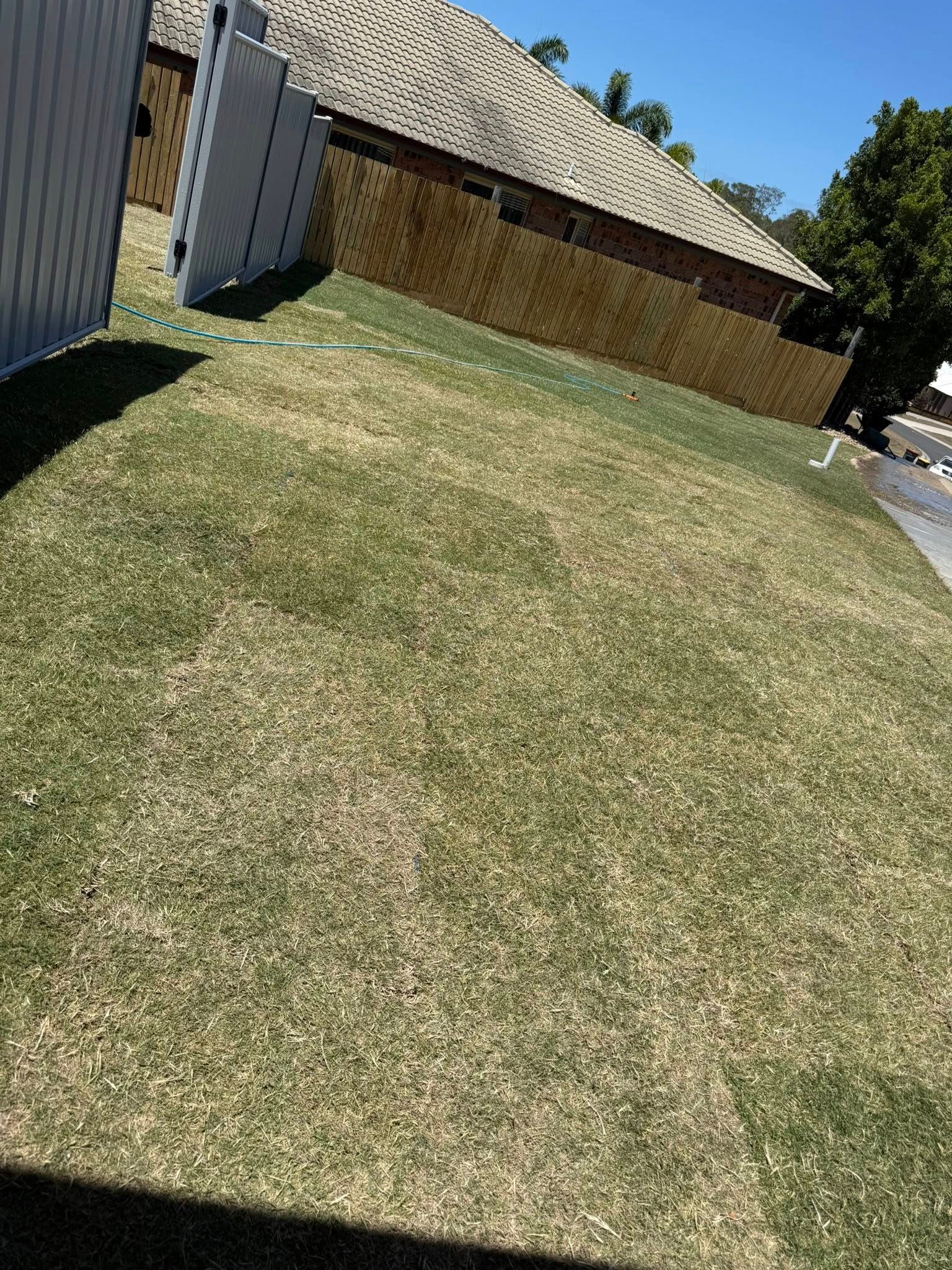 Grassy Yard with Brown Patches — Gladstone Garden & Landscaping Supplies In Burua, QLD