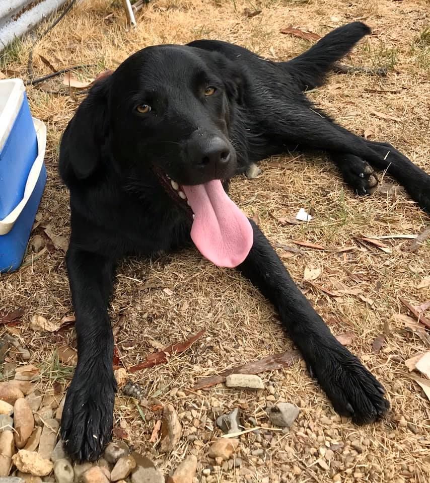 White G with A Green Leaf in The Upper Right — Gladstone Garden & Landscaping Supplies In Burua, QLD