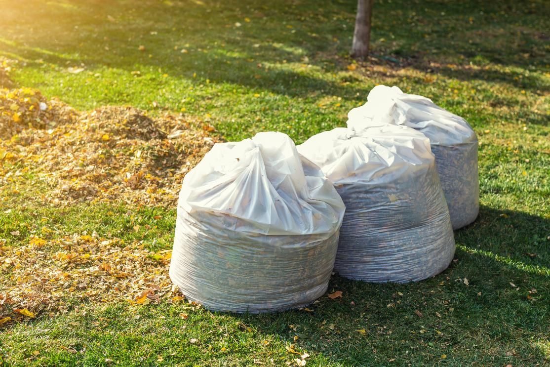 Three white plastic bags filled with fallen leaves.