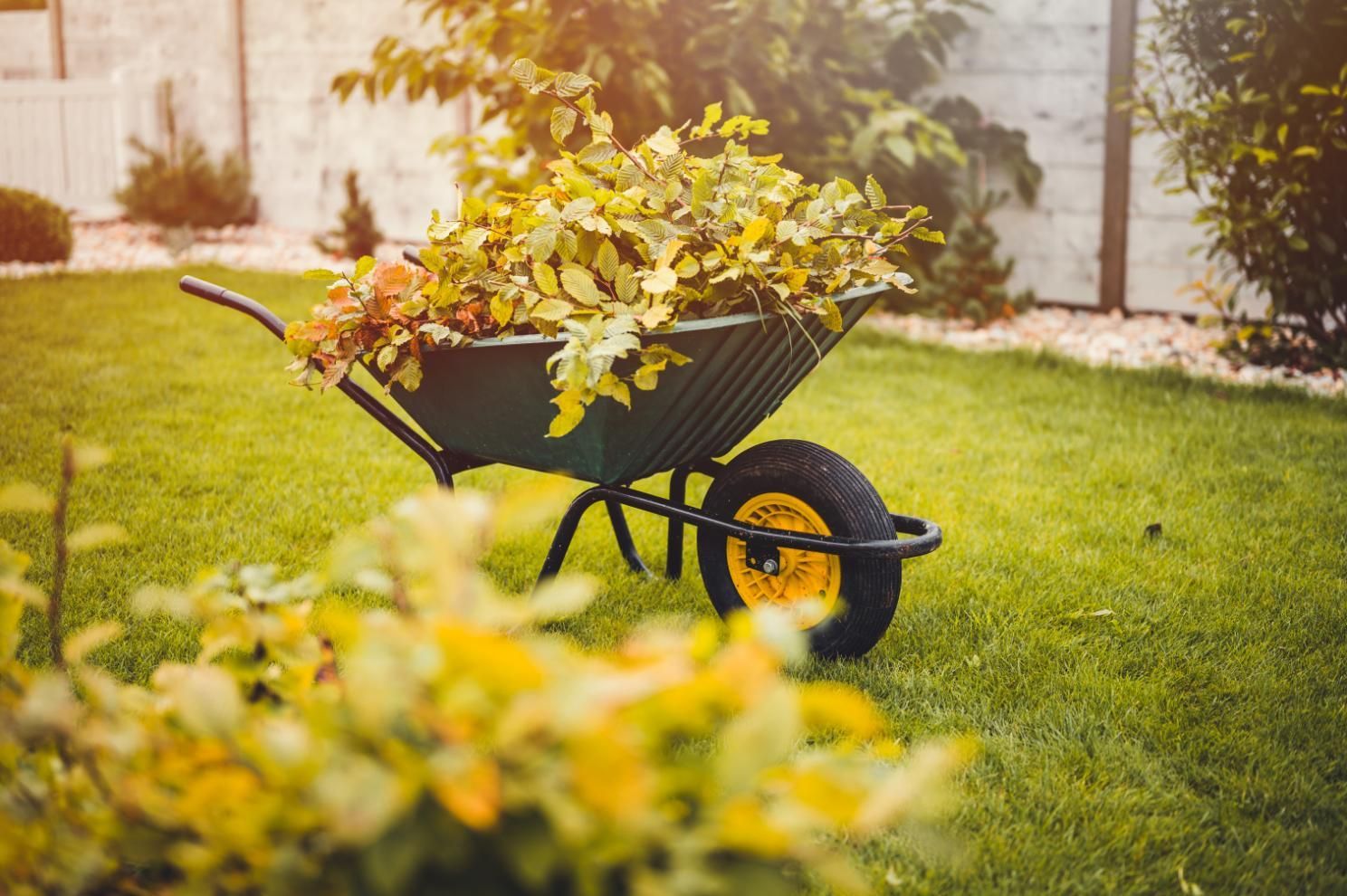 A green wheelbarrow filled with fallen yellow autumn leaves.