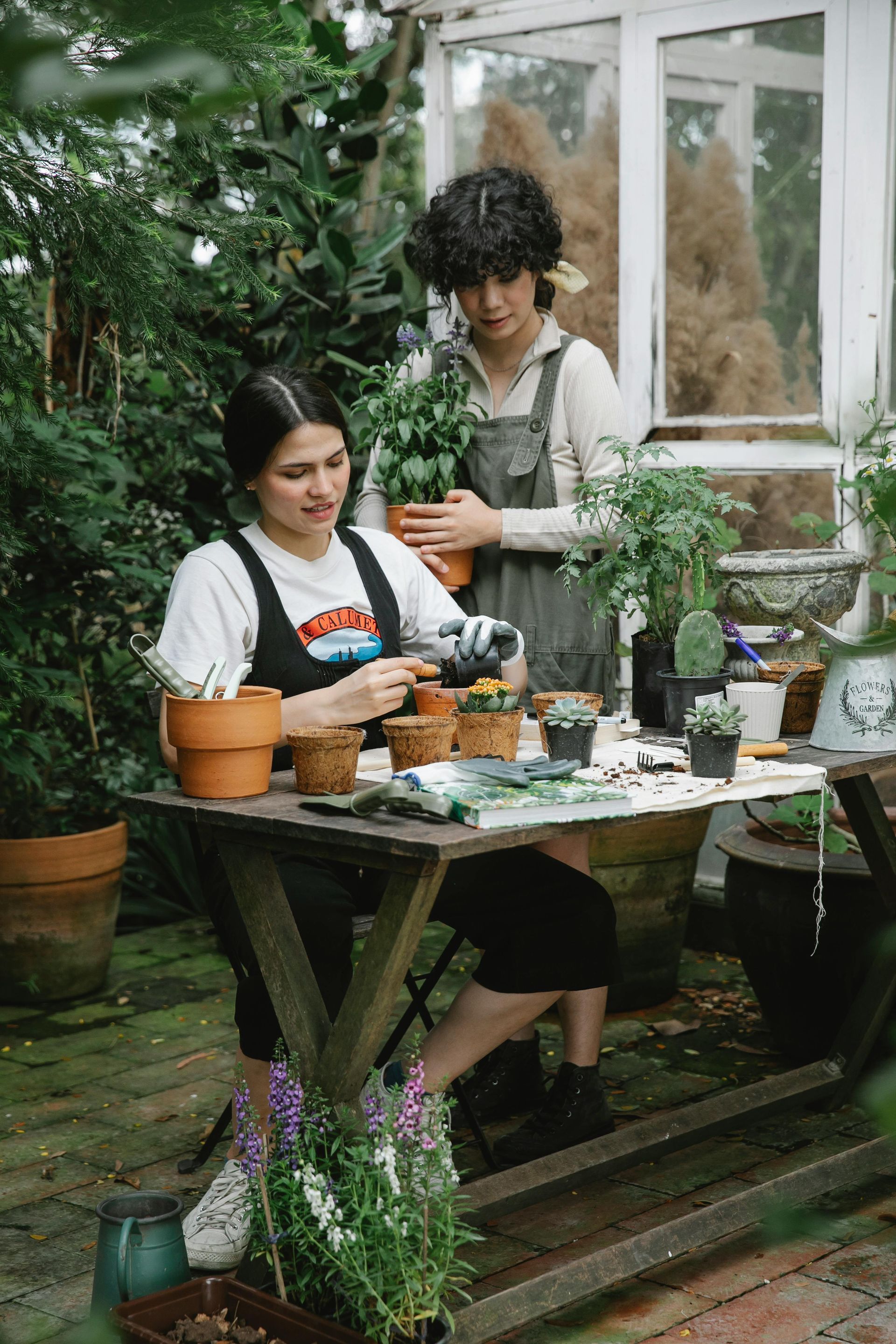 Two women are sitting at a table with potted plants in a greenhouse.