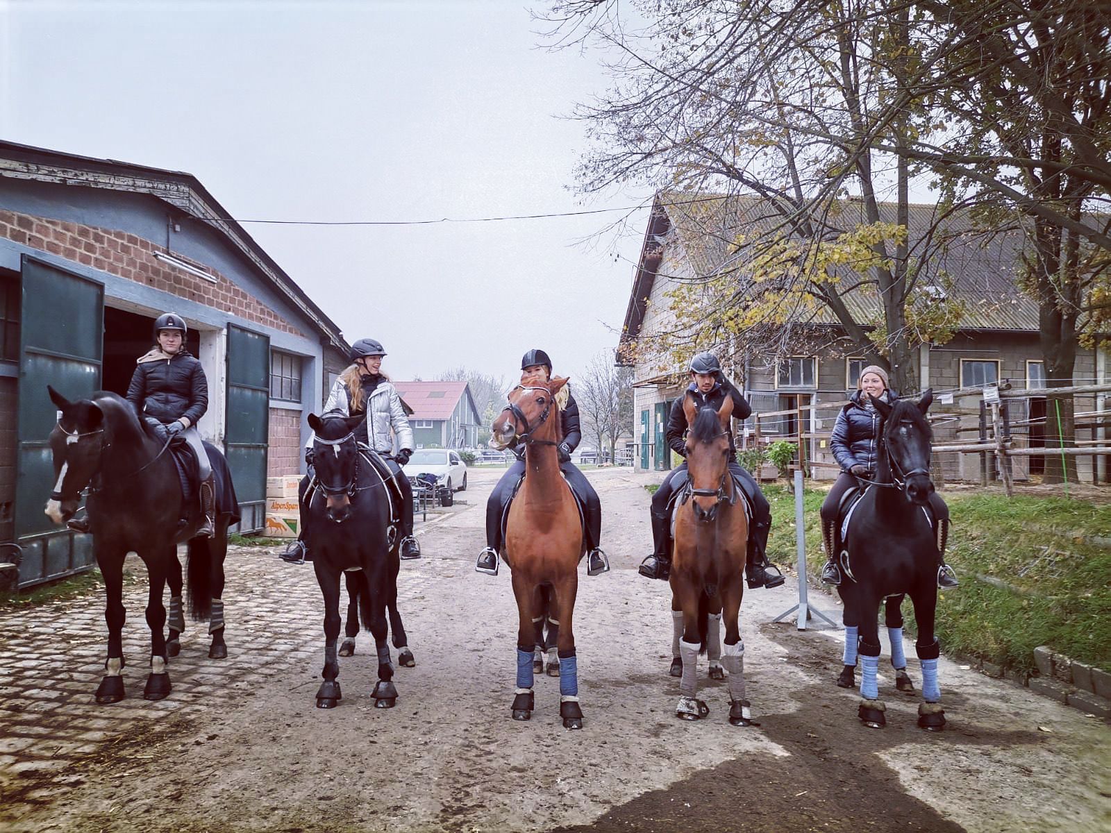 Fünf Reiter stehen auf einem Feldweg in einer Reihe. Gebäude und Bäume flankieren die Reiter.