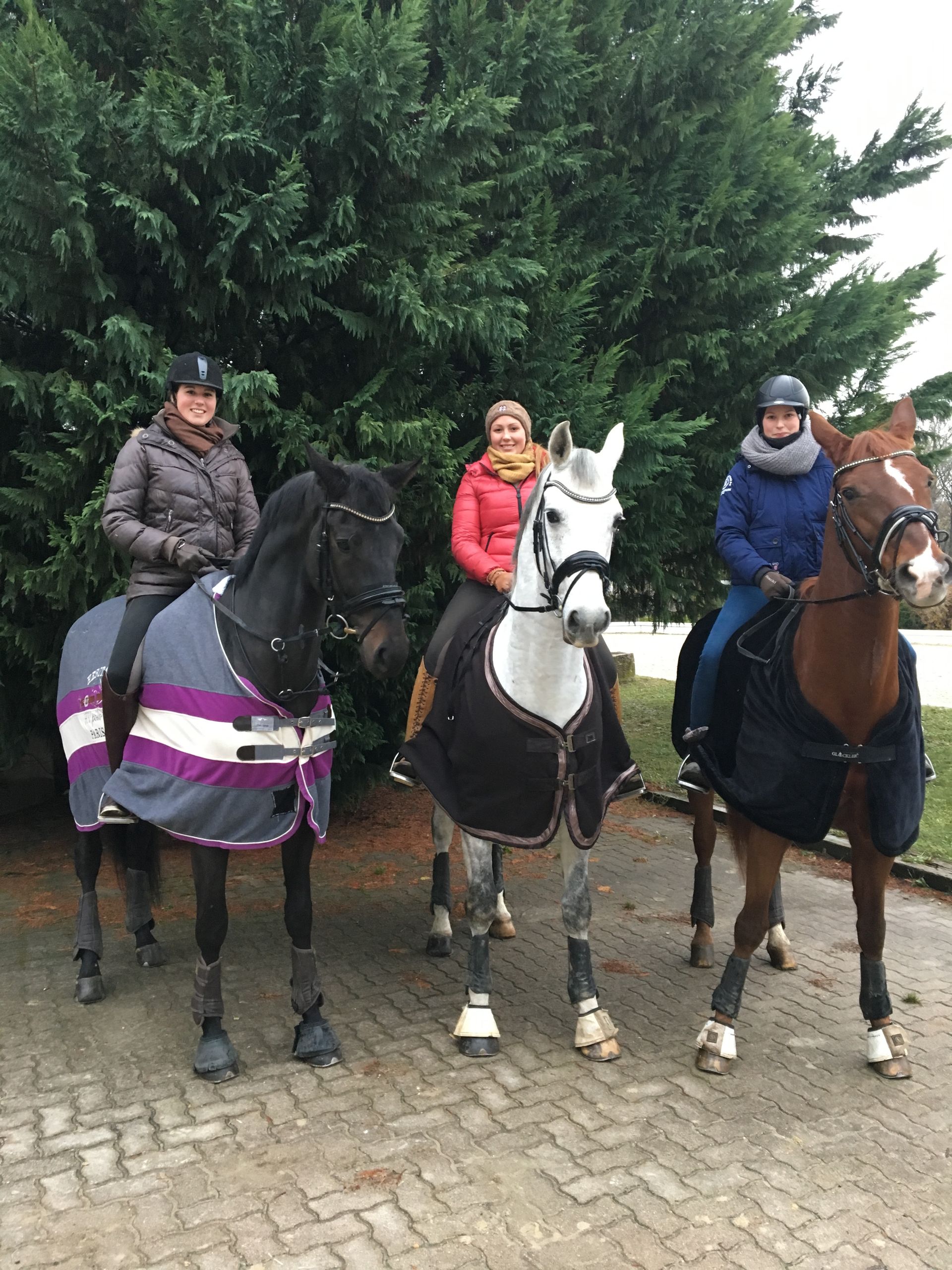 Drei Personen reiten auf Pferden, jede trägt einen Mantel. Sie stehen auf einer gepflasterten Fläche in der Nähe einer dunkelgrünen Hecke.