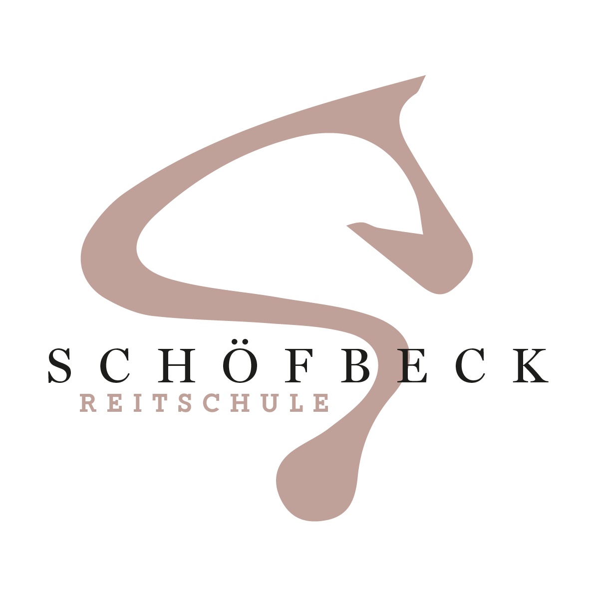 Reitschule Kim Schoefbeck Voesendorf