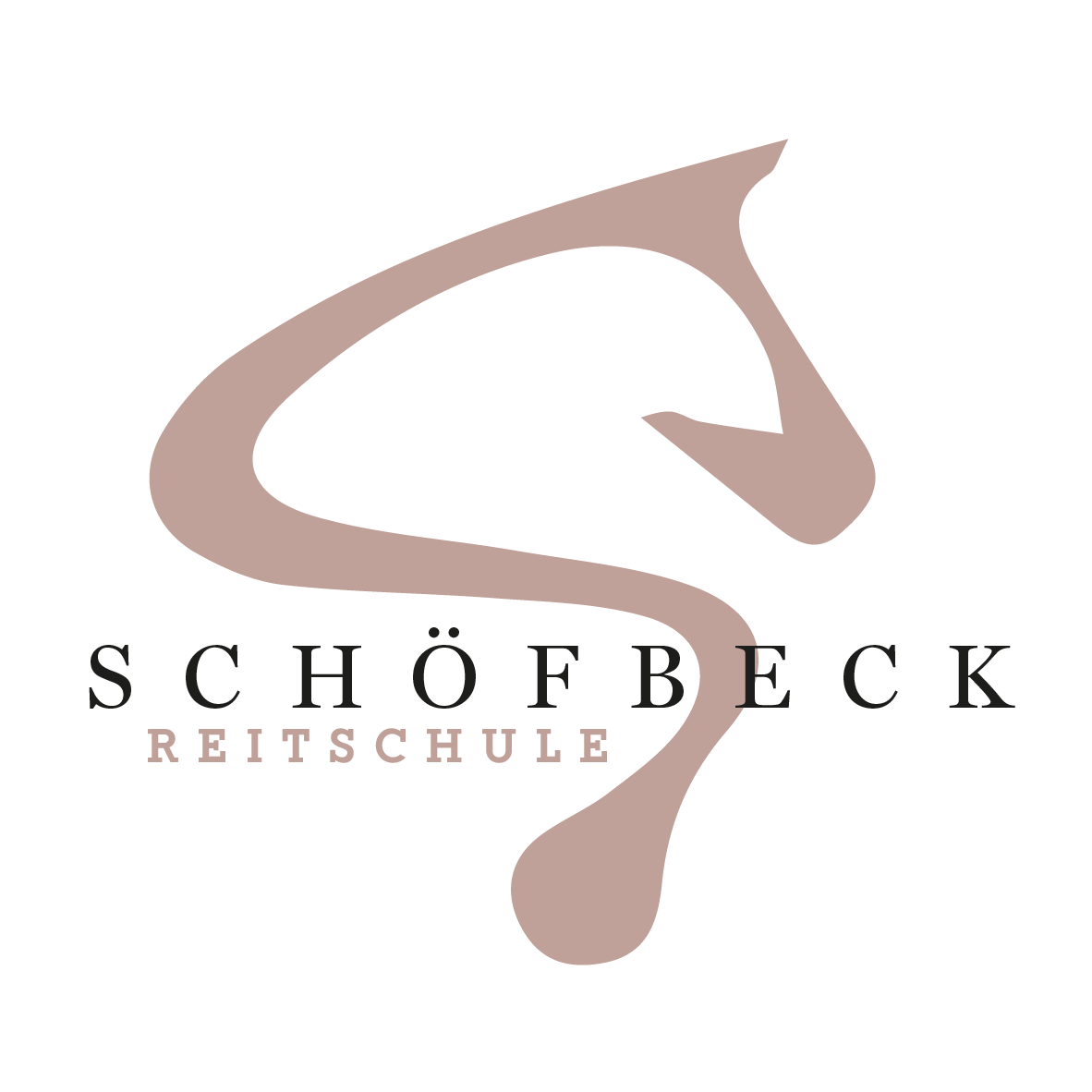Reitschule Kim Schoefbeck Voesendorf