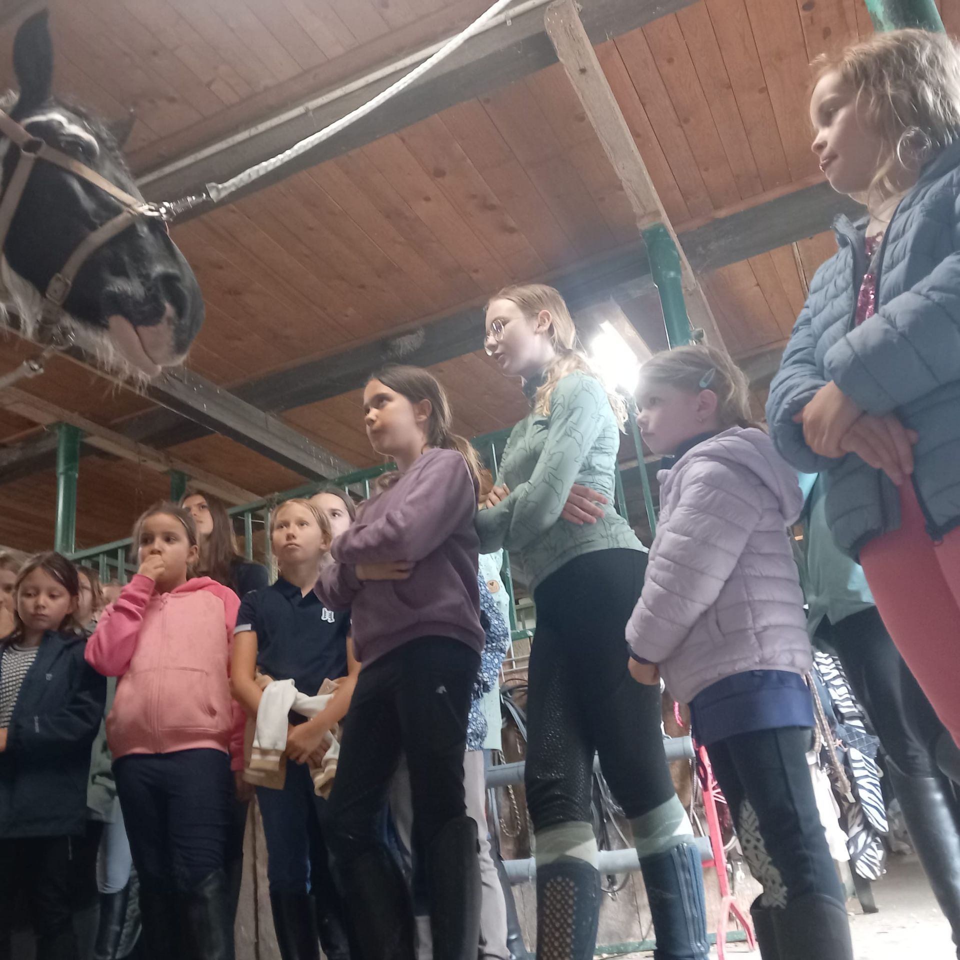 Eine Gruppe von Kindern schaut zu einem Pferd in einem Stall auf. Einige tragen Jacken und schauen neugierig.