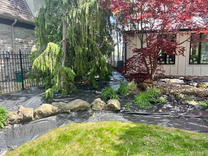 A lush green garden with trees and rocks in front of a house.