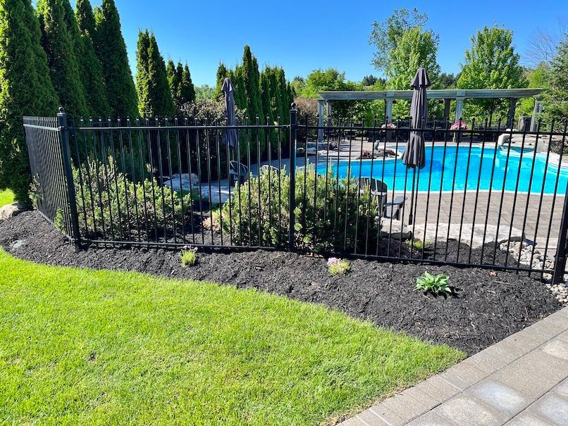 A black fence surrounds a swimming pool in a backyard.
